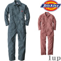 SS-5L Dickies fBbL[Y Ȃ ƕ ƒ <BR>D-716 Xgb`qbR[ciM <BR>(N)(傫TCYi)